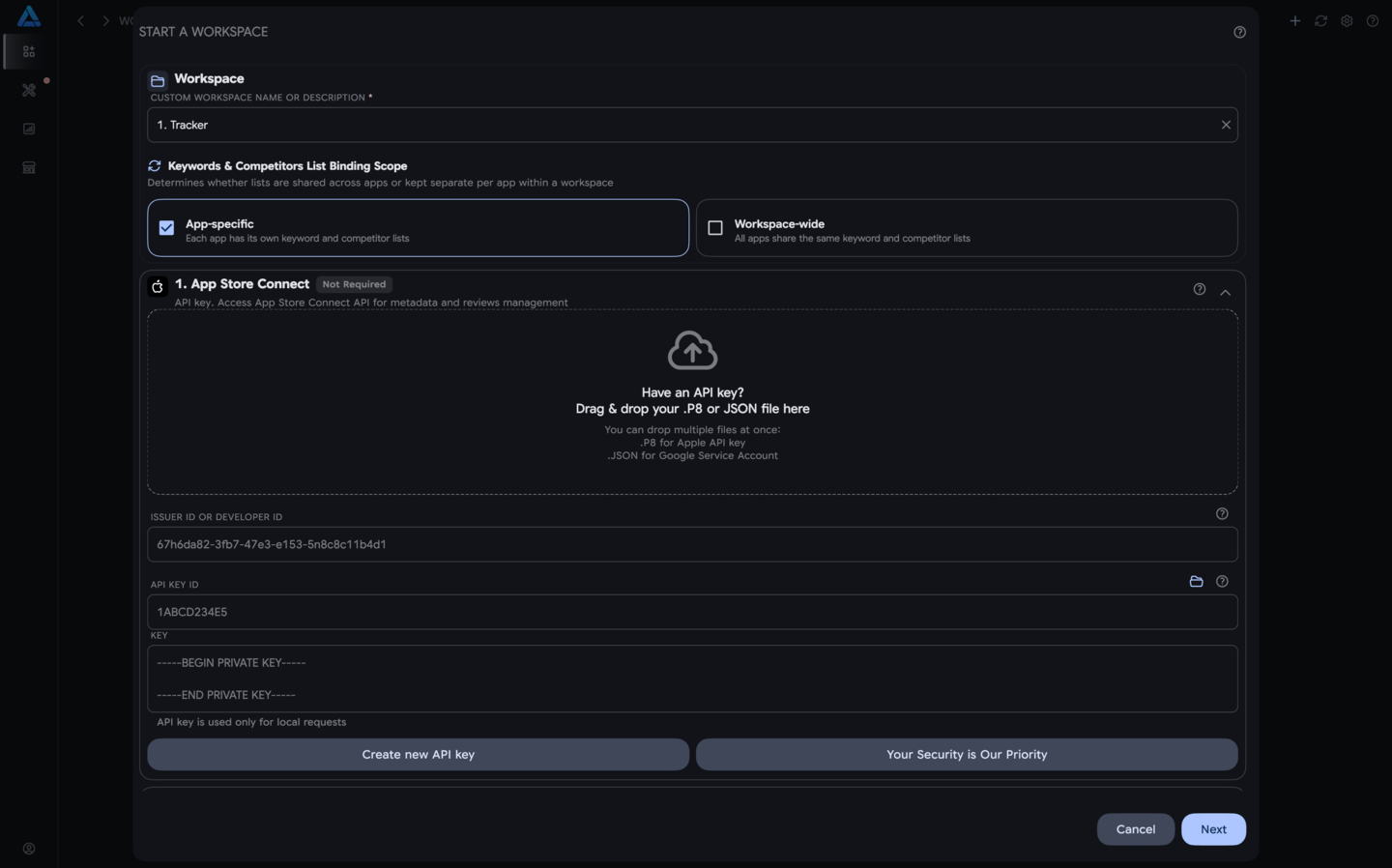 Setting Up a Workspace with an API Key